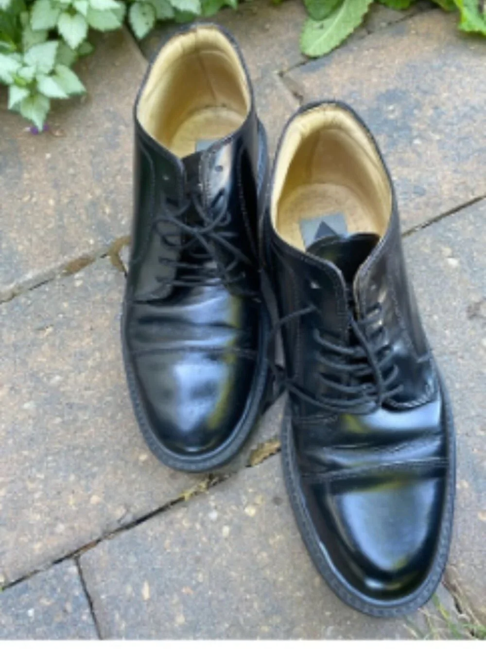 Aldo classic by